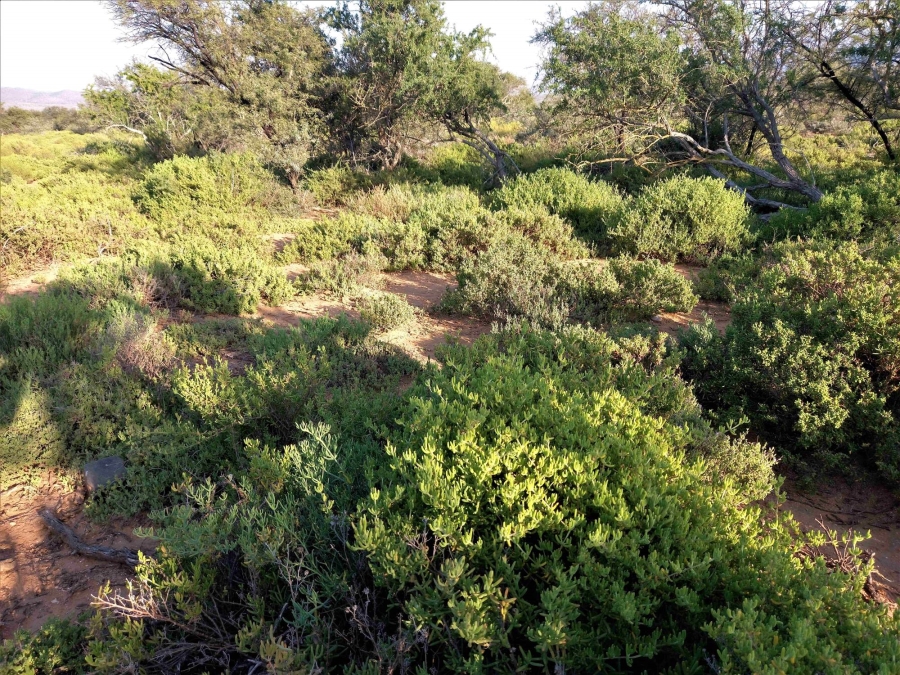 Commercial Property for Sale in Uniondale Rural Western Cape